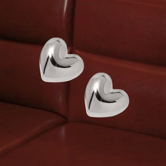 Big Silver Earrings